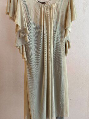 Prairie New York Sheer Dress with Jeweled Lining